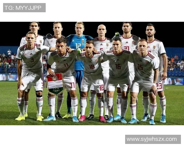 捷克足球明星球员最新排名揭晓谁将成为国家队的领军人物