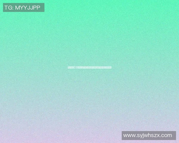 明星篮球03赛季回顾与未来展望球员表现与战术分析全方位解读